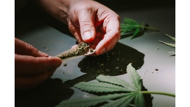 Legalisierung von Cannabis: Wo stehen wir im Jahr 2023?
